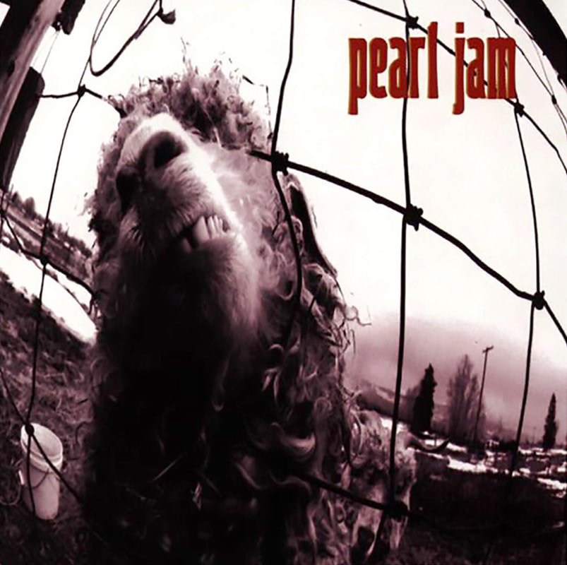 Album cover of Vs. by Pearl Jam