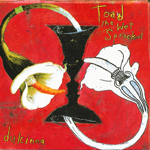 Album cover of Dulcinea by Toad the Wet Sprocket